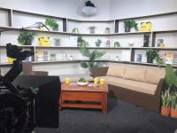 ShowTV Studios image 5